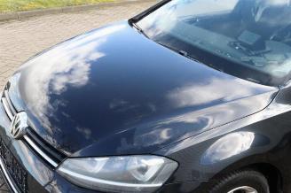 Volkswagen Golf Golf VII (AUA), Hatchback, 2012 / 2021 1.6 TDI 16V picture 19