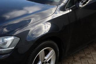 Volkswagen Golf Golf VII (AUA), Hatchback, 2012 / 2021 1.6 TDI 16V picture 16