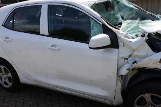 Kia Picanto Picanto (JA), Hatchback, 2017 1.0 DPi 12V picture 24