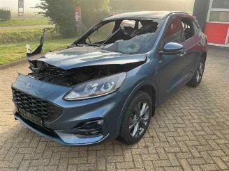 Ford Kuga Kuga III (DFK), SUV, 2019 2.5 PHEV 16V picture 3