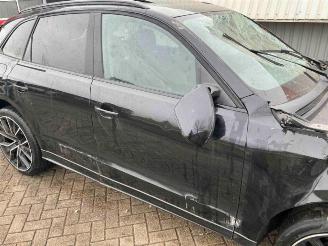 Audi SQ5 SQ5 (8RB), SUV, 2012 / 2017 3.0 TDI V6 24V picture 22