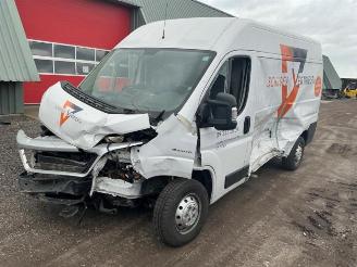 Fiat Ducato Ducato (250), Bus, 2006 2.3 D 130 Multijet Minibus Extralongo picture 3