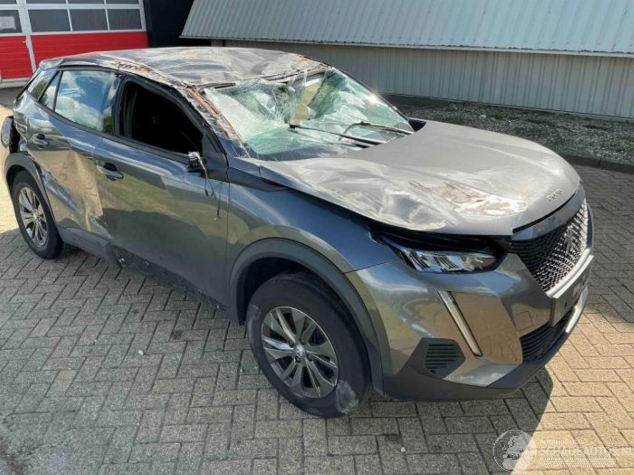 Peugeot 2008 2008 (UD/UK/UR/US/UX), MPV, 2019 1.2 VTi 12V PureTech 100