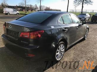Lexus IS  picture 4