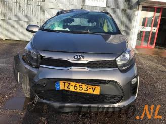 Kia Picanto Picanto (JA), Hatchback, 2017 1.0 12V picture 2