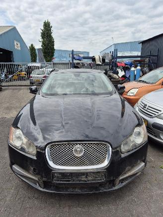 Vrakbiler auto Jaguar XF (CC9) 2.7 D V6 24V Sedan, 4Dr, Diesel, 2.720cc, 152kW (207pk), RWD, 7G; AJTDV6 2008/1