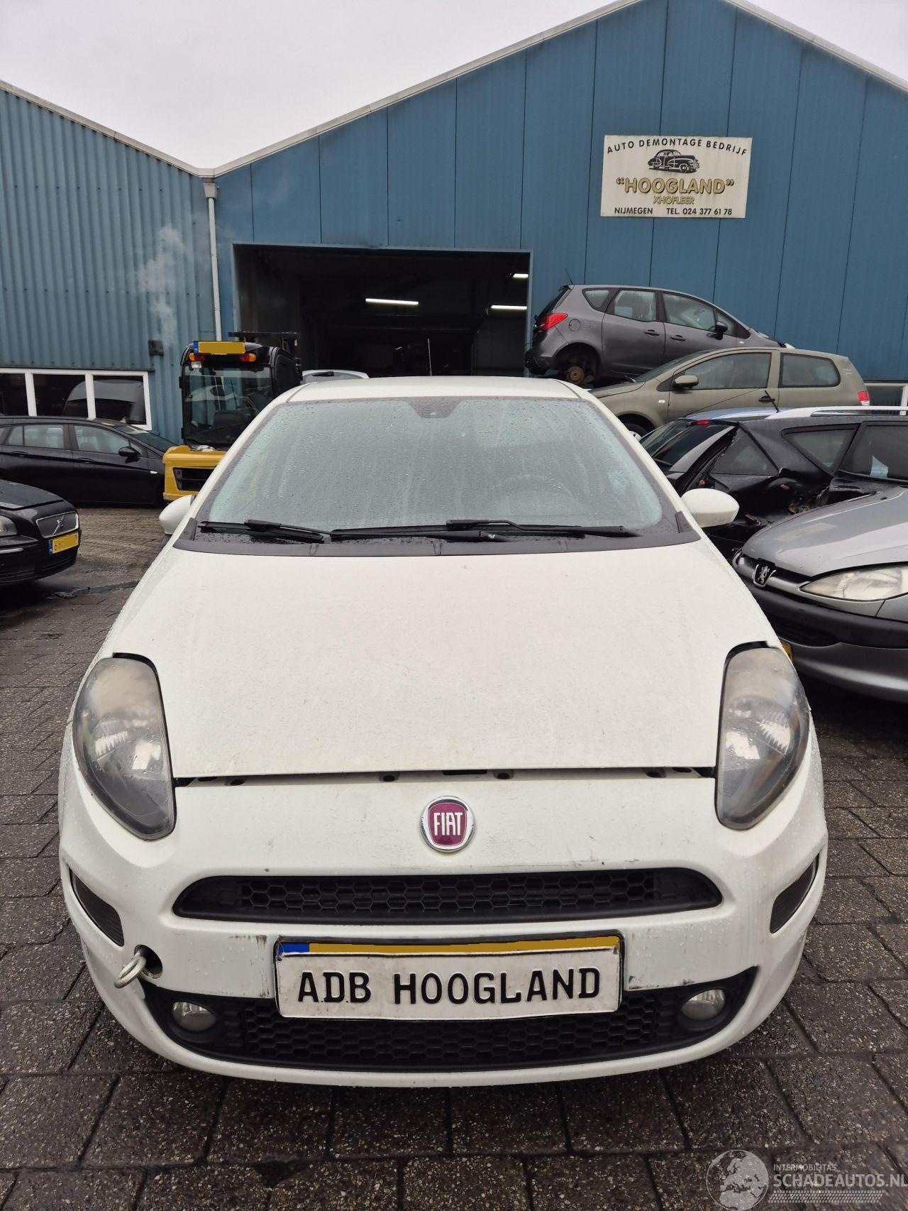 Fiat Punto III (199) Hatchback 1.3 JTD Multijet 80 16V (199.B.8000) [59kW] 5-BAK