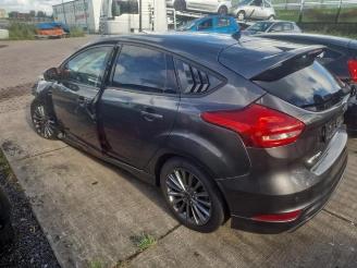 Ford Focus  picture 3