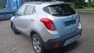 Opel Mokka Mokka/Mokka X SUV 1.6 16V EcoFlex 4x2 (B16XER(Euro 6)) [85kW]  (06-201=
2/12-2019) picture 10