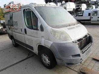 Fiat Ducato Ducato (250), Van, 2006 2.2 D 100 Multijet Euro 4 picture 4
