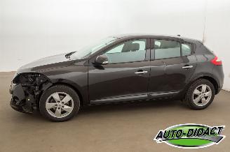 Renault Mégane 2.0 Automaat Dynamique picture 40