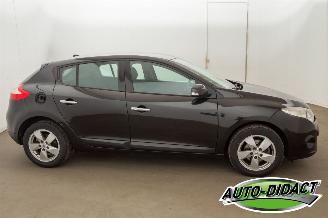 Renault Mégane 2.0 Automaat Dynamique picture 41