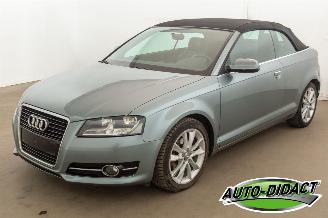 Audi A3 Cabrio 1.6 TDI Navi picture 36