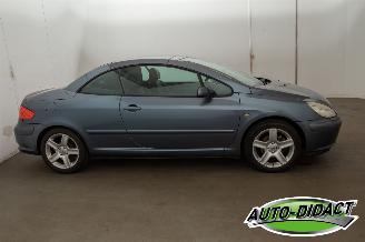 Peugeot 307 CC 2.0-16V Automaat Clima Motorschade picture 31