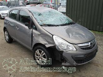 Opel Corsa Corsa D Hatchback 1.4 16V Twinport (A14XER(Euro 5)) [74kW]  (12-2009/0=
8-2014) picture 2