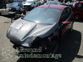 Vrakbiler auto Ford Fiesta Fiesta 6 (JA8) Hatchback 1.0 EcoBoost 12V 100 (SFJA(Euro 5)) [74kW]  (=
01-2013/06-2017) 2013/0