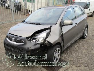 Vrakbiler auto Kia Picanto Picanto (TA) Hatchback 1.0 12V (G3LA) [49kW]  (05-2011/06-2017) 2017/1