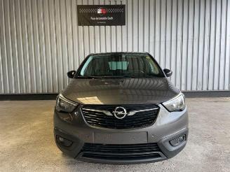 Opel Crossland (X) Edition Autom / R-Kamera / AHK picture 7