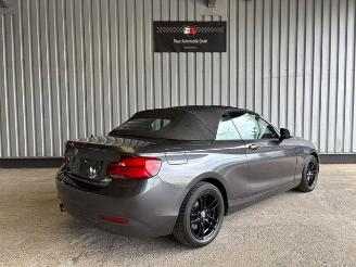 BMW 2-serie 0d Advantage Cabriolet LED / Navigation picture 9