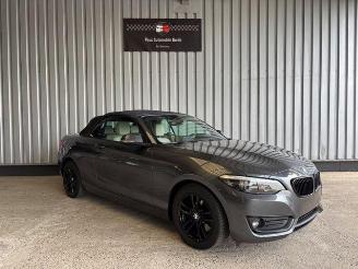 BMW 2-serie 0d Advantage Cabriolet LED / Navigation picture 10
