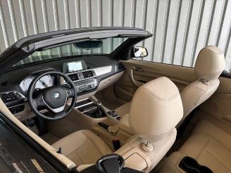 BMW 2-serie 0d Advantage Cabriolet LED / Navigation picture 13