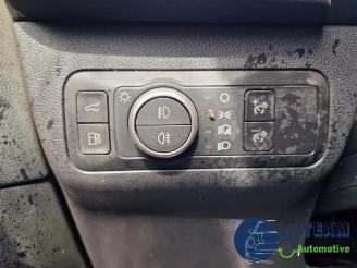 Ford Kuga Kuga III (DFK), SUV, 2019 2.5 PHEV 16V picture 22