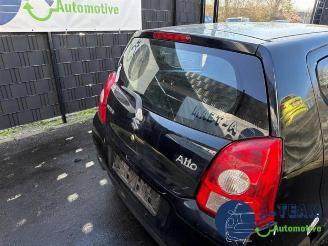 Suzuki Alto Alto, Hatchback 5-drs, 2009 1.0 12V picture 25