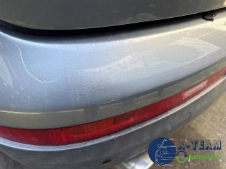 Audi Q7 Q7 (4LB), SUV, 2005 / 2015 3.6 FSI V6 24V picture 29