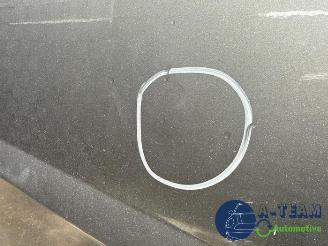Fiat Doblo Doblo Cargo (263), Van, 2010 1.3 MJ 16V DPF Euro 5 picture 30