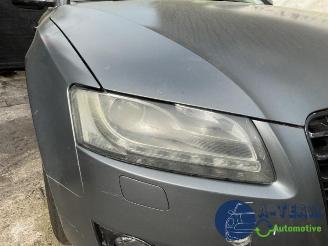 Audi 50 A5 Sportback (8TA), Liftback, 2009 / 2017 2.0 TDI 16V picture 21