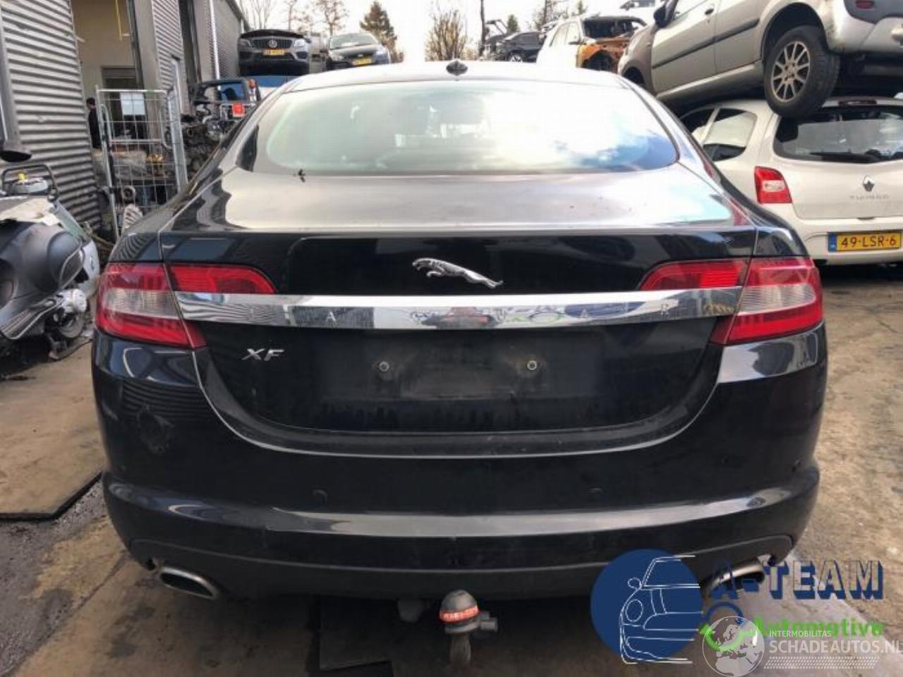 Jaguar XF XF (CC9), Sedan, 2008 / 2015 3.0 D V6 24V