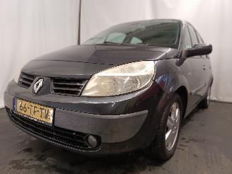 škoda osobní automobily Renault Scenic Grand Scénic II (JM) MPV 2.0 16V (F4R-770(Euro 4)) [99kW]  (04-2004/=
06-2009) 2006/8