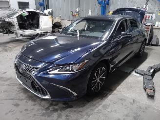 Lexus ES ES Sedan 300h 2.5 16V (A25A-FXS) [160kW]  (07-2018/...) picture 1