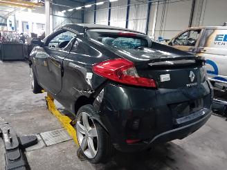 Renault Wind Wind (EN/E4) Cabrio 1.2 16V TCE (D4F-782(D4F-K7)) [74kW]  (07-2010/06-=
2013) picture 4