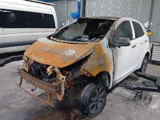 disassembly passenger cars Kia Picanto Picanto (JA) Hatchback 1.0 12V (G3LD) [49kW]  (03-2017/...) 2023