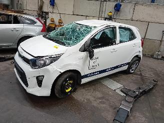 Kia Picanto Picanto (JA) Hatchback 1.0 12V (G3LD) [49kW]  (03-2017/...) picture 1