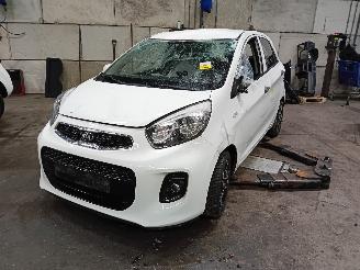 skadebil auto Kia Picanto Picanto (TA) Hatchback 1.0 12V (G3LA) [49kW]  (05-2011/06-2017) 2016/2