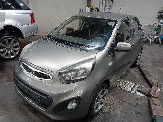 Schadeauto Kia Picanto Picanto (TA) Hatchback 1.0 12V (G3LA) [51kW]  (05-2011/06-2017) 2011/12