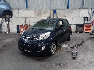 Coche accidentado Kia Picanto Picanto (TA) Hatchback 1.0 12V (G3LA) [51kW]  (05-2011/06-2017) 2014/9