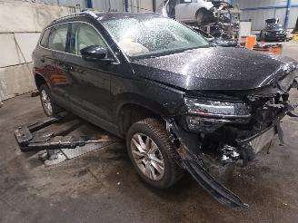 Skoda Karoq Karoq SUV 1.5 TSI 16V (DADA) [110kW]  (07-2017/...) picture 2