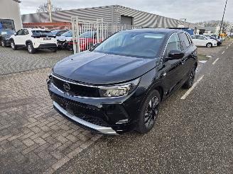 Opel Grandland Innovation picture 1