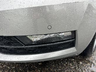 Skoda Octavia 1.0 TSI 115pk 6-bak Greentech Amb Bus sedan - navi - clima - cruise - pdc v+a - licht + regensensor picture 8