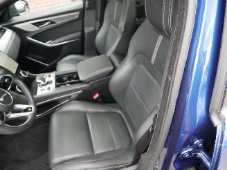 Jaguar F-Pace R-Dynamic  E 90th Anniversary Edition AWD Pano Led Leder picture 11