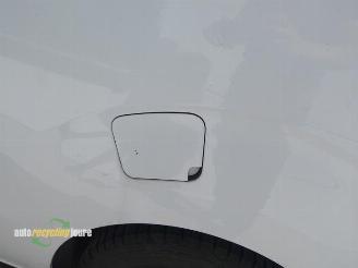 Peugeot Expert Expert (V1/VA/VB/VE/VF/VT/VY), Van, 2016 2.0 Blue HDi 180 16V picture 12