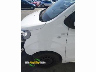 Peugeot Expert Expert (V1/VA/VB/VE/VF/VT/VY), Van, 2016 2.0 Blue HDi 180 16V picture 14