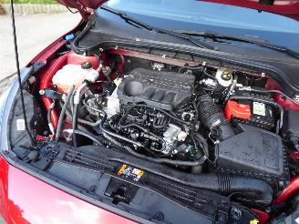 Ford Focus Active picture 19