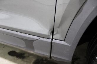 Volkswagen T-Roc  picture 9