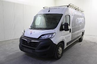 Opel Movano  picture 1