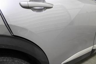 Peugeot 2008  picture 19