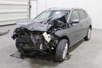 Skoda Kamiq  picture 1